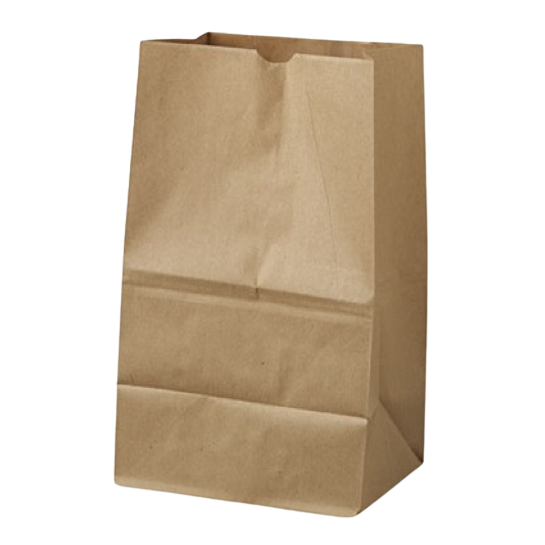 BAG PAPER KRAFT #20 PRODEL-ES-BAGGK20S500