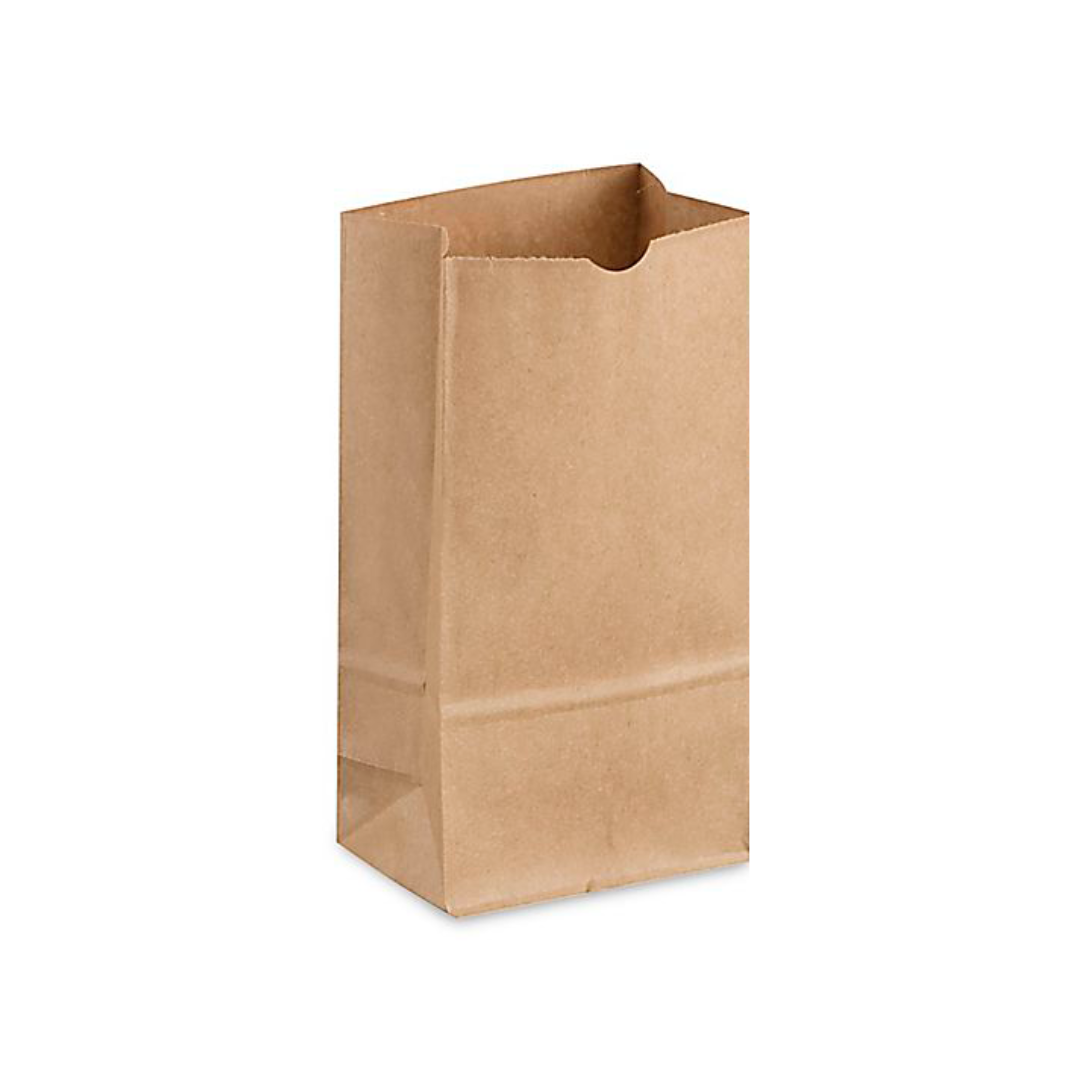 BAG PAPER KRAFT #6 PRODEL-FP-SOS06K