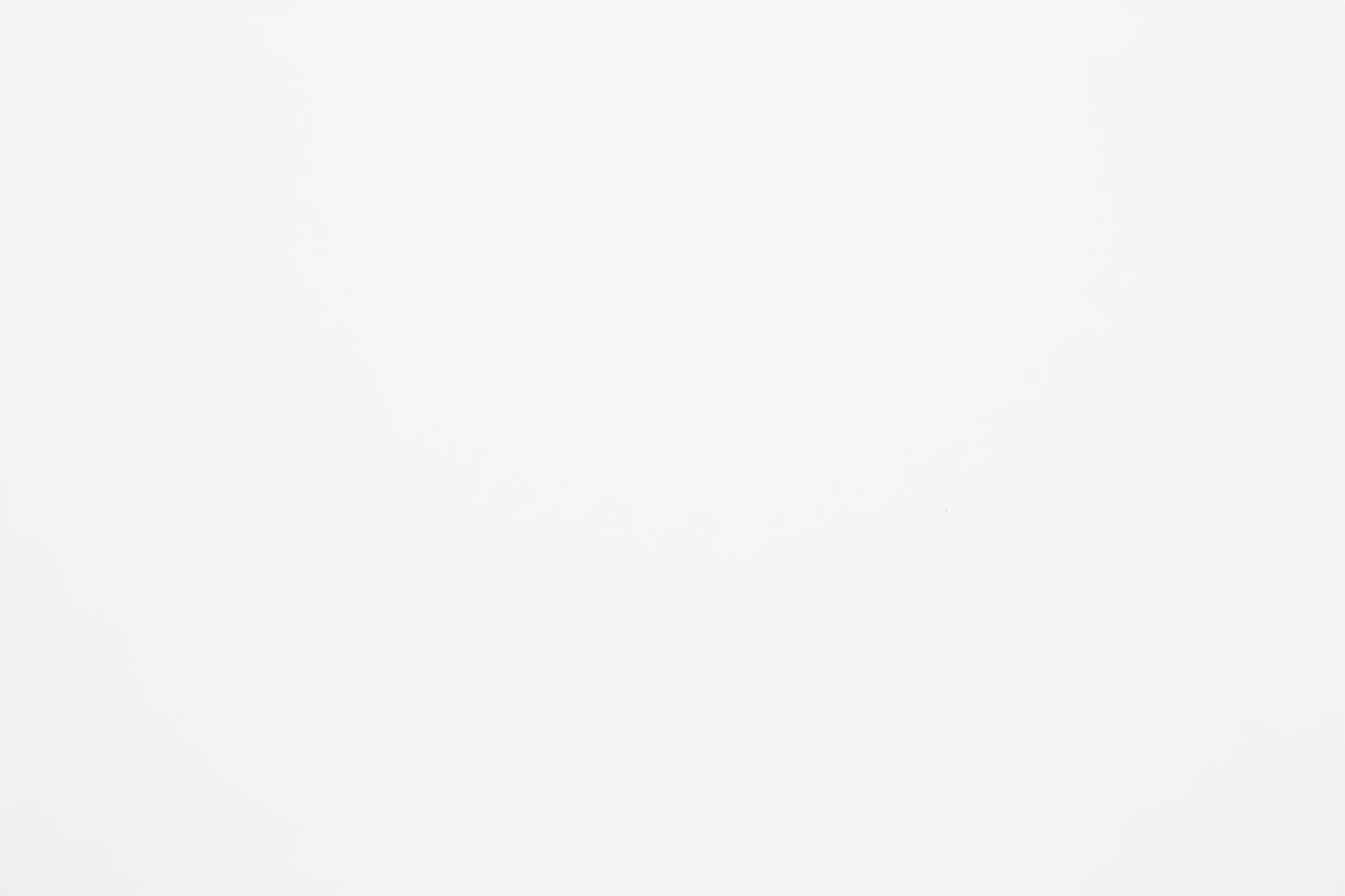 white only, no image, no texture. Just a white background.